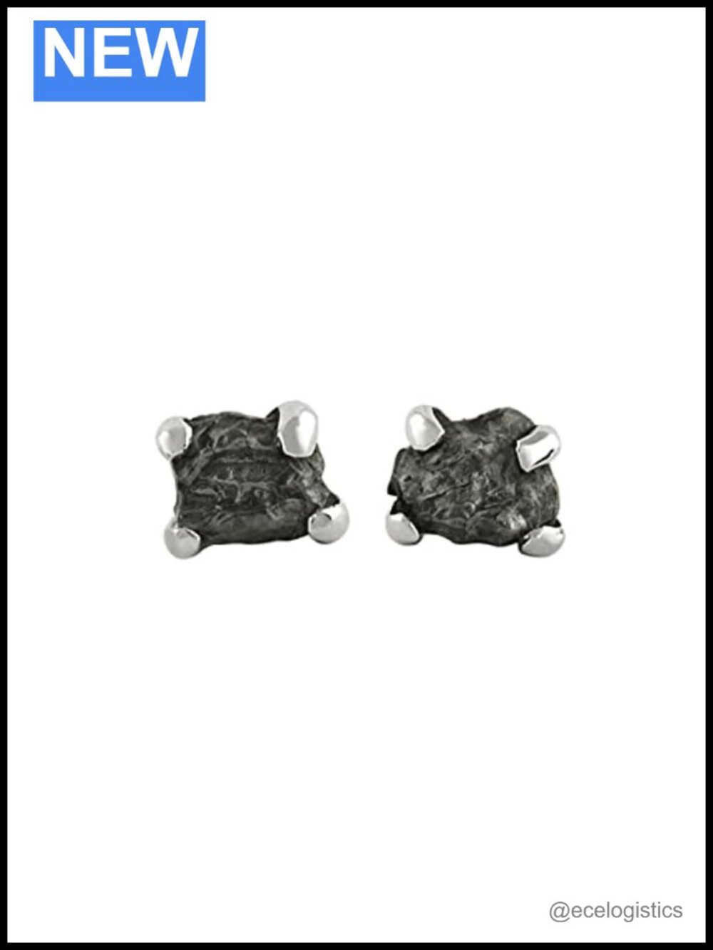 Sterling Silver Campo del Cielo Meteorite Stud Earrings Small